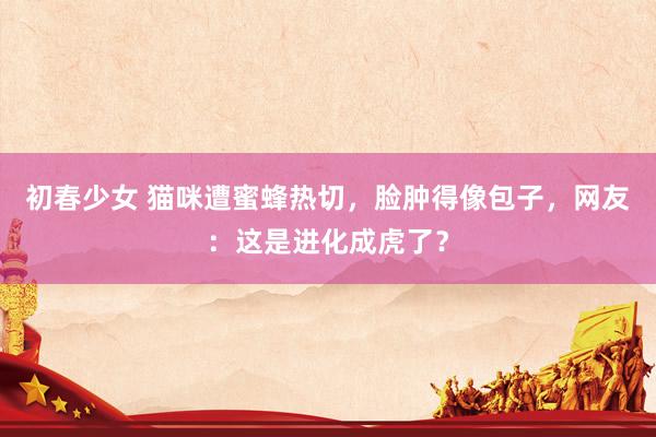 初春少女 猫咪遭蜜蜂热切，脸肿得像包子，网友：这是进化成虎了？