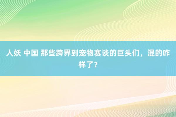 人妖 中国 那些跨界到宠物赛谈的巨头们，混的咋样了？