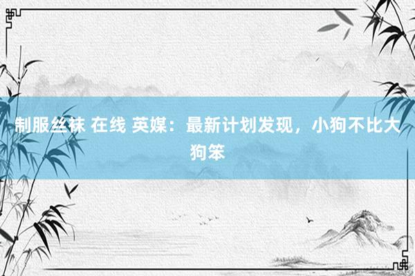 制服丝袜 在线 英媒：最新计划发现，小狗不比大狗笨