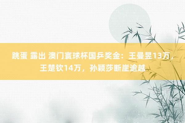 跳蛋 露出 澳门寰球杯国乒奖金：王曼昱13万，王楚钦14万，孙颖莎断崖逾越
