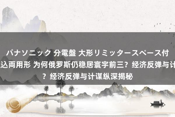 パナソニック 分電盤 大形リミッタースペース付 露出・半埋込両用形 为何俄罗斯仍稳居寰宇前三？经济反弹与计谋纵深揭秘