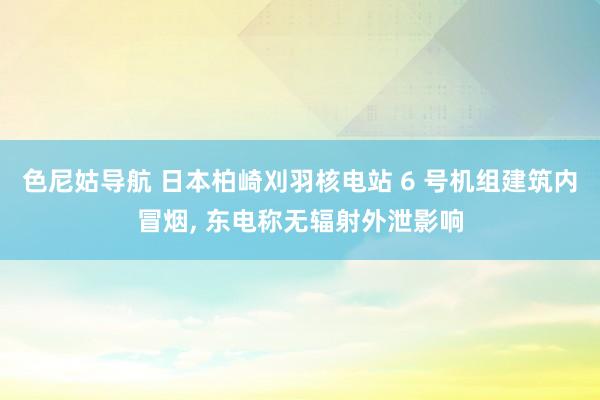 色尼姑导航 日本柏崎刈羽核电站 6 号机组建筑内冒烟， 东电称无辐射外泄影响