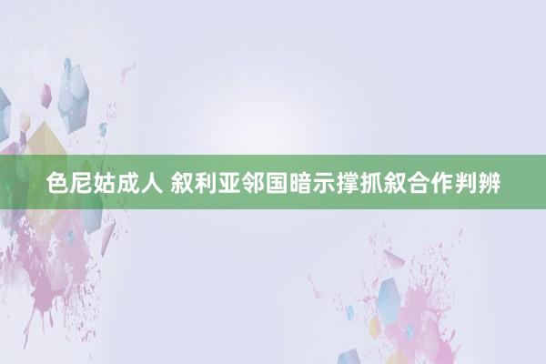 色尼姑成人 叙利亚邻国暗示撑抓叙合作判辨