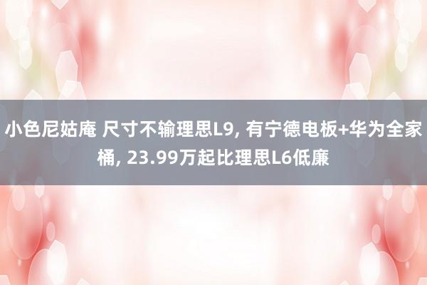 小色尼姑庵 尺寸不输理思L9， 有宁德电板+华为全家桶， 23.99万起比理思L6低廉