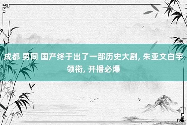成都 男同 国产终于出了一部历史大剧， 朱亚文白宇领衔， 开播必爆